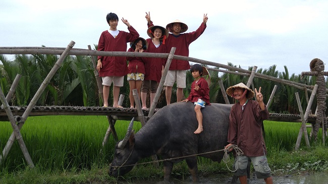 Việc nuôi trâu làm nông nghiệp kết hợp làm du lịch ở Hội An đã tạo thêm thu nhập cho nhiều hộ dân.&nbsp;(Ảnh: Jack Trần).