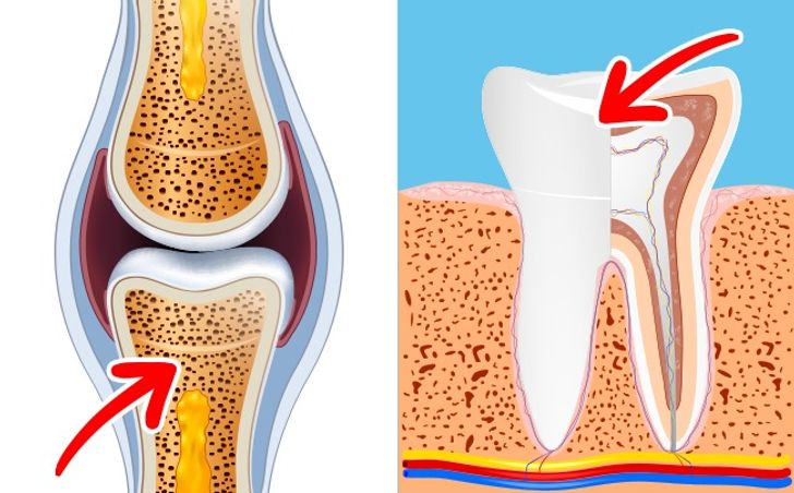 Ăn 2 quả trứng mỗi ngày, cơ thể thay đổi cực kỳ diệu - 4