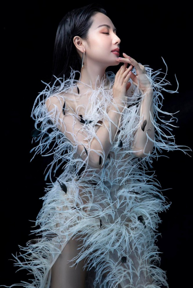 Ba mỹ nhân Việt cùng diện mẫu váy đính lông, vì sao Tăng Thanh Hà được khen nổi trội nhất? - 1