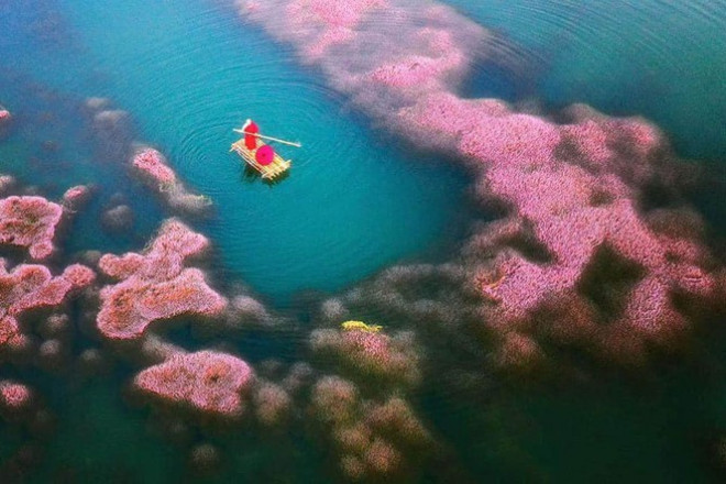 Ngất ngây trước vẻ đẹp của hồ Tảo Hồng ở Lâm Đồng, chụp ảnh ở đây cứ gọi là xuất sắc! - 1