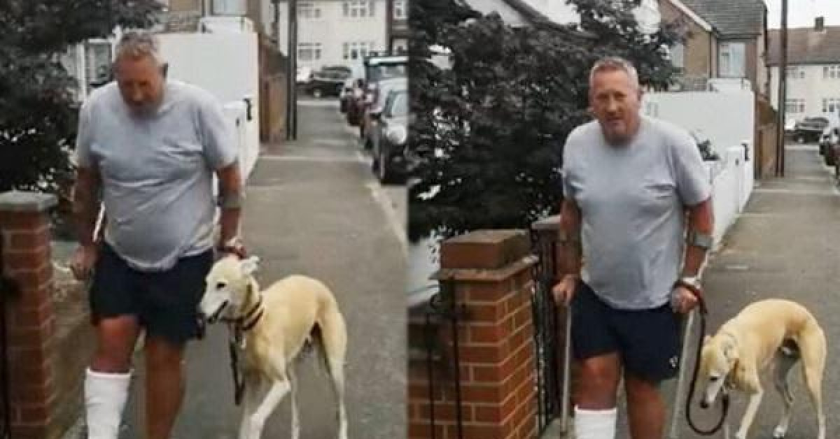 Bạn trẻ - Cuộc sống - Chi hơn 9 triệu đưa chó cưng đi khám, biết được sự thực “cười ra nước mắt”