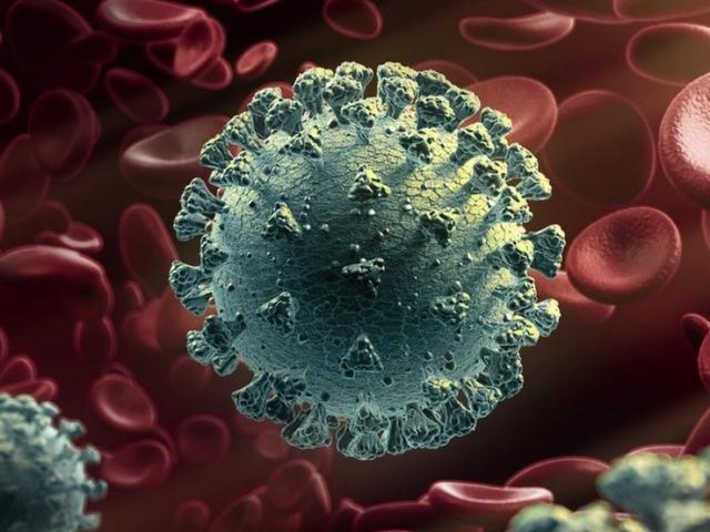 Sức khỏe đời sống - Nhiễm COVID-19 càng nặng, bệnh nhân càng có kháng thể tốt?