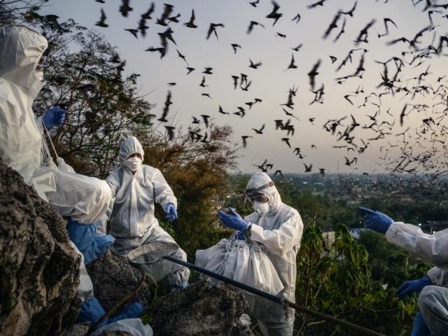 Thế giới - Những điều đã biết cho đến nay về biến chủng Covid-19 "siêu lây lan" từ Anh