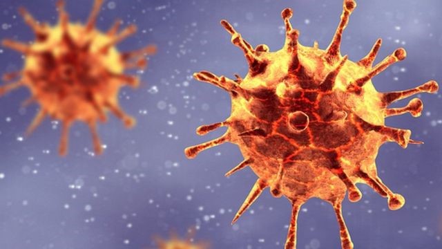 Nghiên cứu mới nhất: Virus Corona có thể "ẩn nấp" trong não gây tái nhiễm - 1