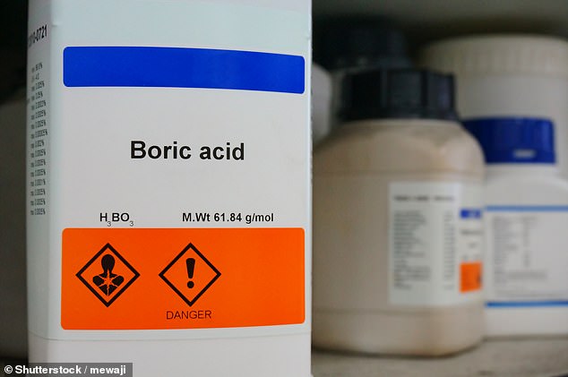 Axit boric là một chất được sử dụng để tiêu diệt kiến và gián. (Ảnh minh họa)