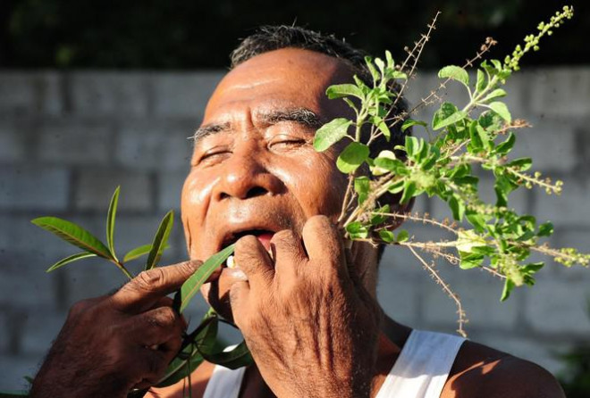 “Dị nhân lưỡi đen” Chau Ponl và những cây ngải chữa nọc rắn gia truyền