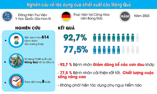 Cụ ông 72 tuổi “thoát đau buốt lưng”, đi lại dễ dàng nhờ thứ lá "lạ" này - 4