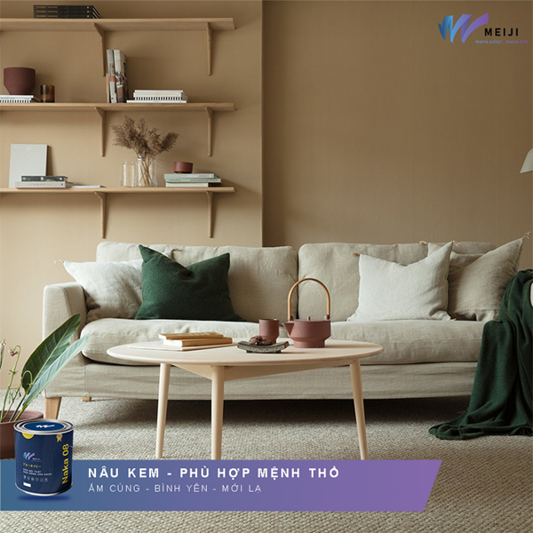 Khám phá xu hướng màu sắc 2021 cho ngôi nhà của bạn cùng sơn MEIJI - 2