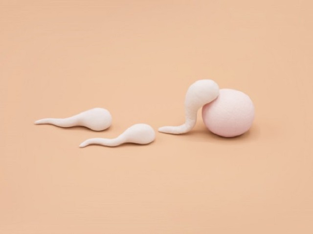 Sức khỏe đời sống - COVID-19: Coronavirus có ảnh hưởng đến khả năng sinh sản của nam giới như thế nào?