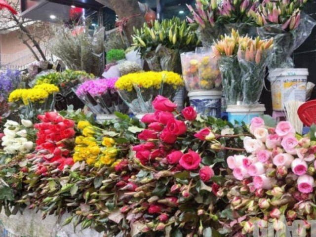 Thị trường - Tiêu dùng - Hoa Trung Quốc đắt hàng, cúc vàng rớt giá thê thảm cận Tết Tân Sửu 2021