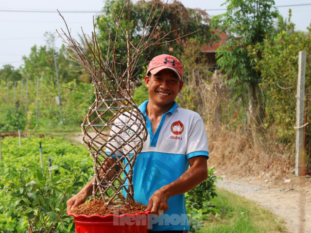 Thị trường - Tiêu dùng - Chàng trai 9x uốn mai vàng thành lộc bình tiền triệu "cháy" hàng dịp Tết
