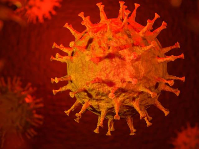 Tin tức trong ngày - Dịch COVID-19: Yêu cầu khẩn với người trên chuyến bay từ Hải Phòng đi TP.HCM và 2 địa điểm