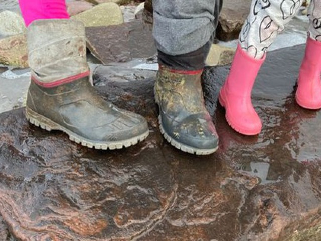 Du lịch - Dạo biển, bé gái 4 tuổi phát hiện "báu vật" 220 triệu năm