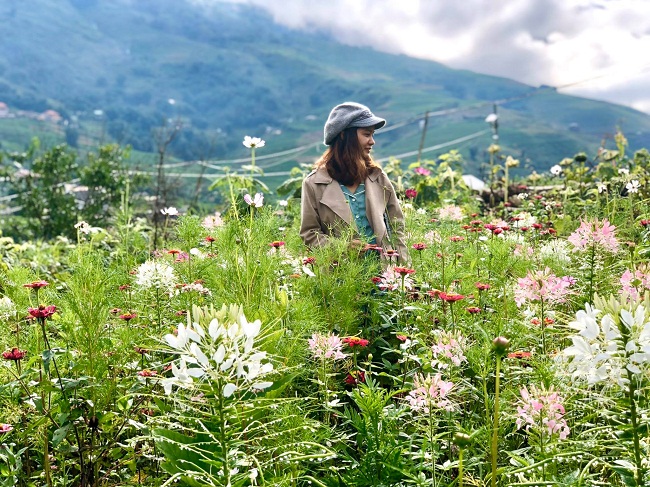 Những du khách đến nông trại nghỉ dưỡng sẽ được tham gia các hoạt động đậm chất làng bản Sapa