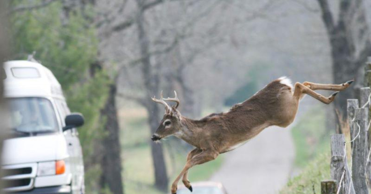 Tin tức ô tô - Một người trúng số hàng chục tỉ nhờ lái xe gặp tai nạn