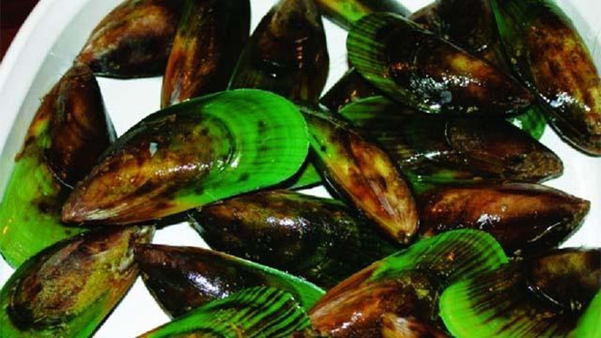 Dầu vẹm xanh giúp cải thiện đau lưng hiệu quả