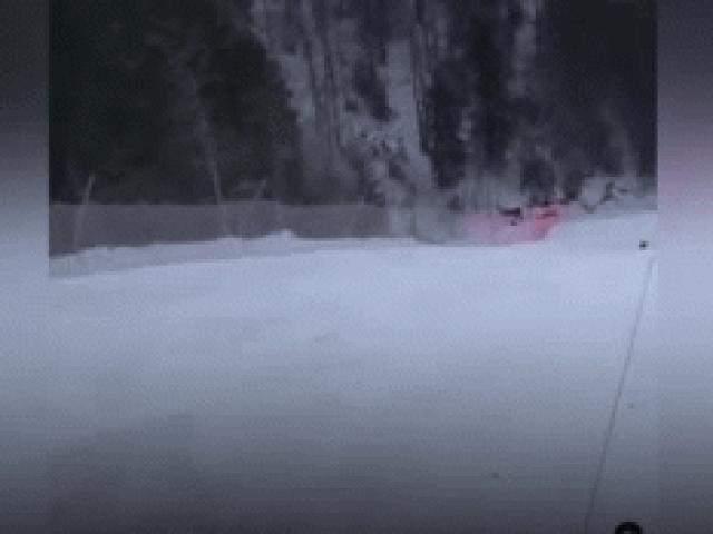 Media - Đi trượt tuyết ở khu nghỉ dưỡng, vận động viên bị gấu rượt đuổi