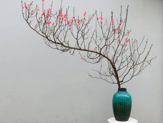 Đào dáng huyền tăng giá từng ngày lên 4-5 triệu đồng/cành, chặt cả nghìn cành vẫn &#34;cung không đủ cầu&#34; - 4
