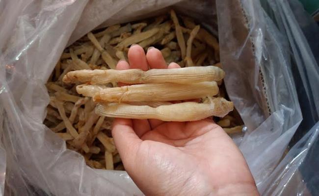 &nbsp;Sá sùng là một loại hải sản thuộc ngành giun đốt, có nhiều ở vùng biển Vân Đồn và Móng Cái (Quảng Ninh). Từ lâu, sá sùng đã được coi là thức ăn cho nhà giàu vì giá thành của chúng rất đắt, có khi lên đến vài triệu một kg do mức độ quý hiếm và giá trị tuyệt vời mà nó mang lại.&nbsp;

