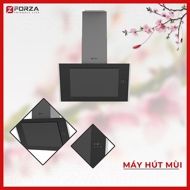 Đón chào năm mới 2021 an khang, thịnh vượng cùng Forza Việt Nam - 6