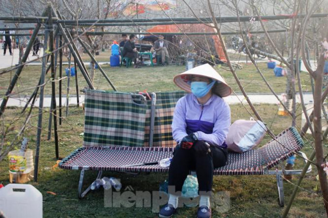 Ngồi cả ngày không có khách mua, cô N. (tiểu thương bán đào tại Hạ Long) chia sẻ: “Tôi bán đào đã 20 năm nay rồi mà chưa năm nào thấy cảnh tượng như thế này. Mọi năm ở đây các gian bán đào, quất được bày kín sân quảng trường, thế mà năm nay số lượng các gian được có một nửa, số lượng cây cũng chỉ bằng 1/3 hàng năm”.