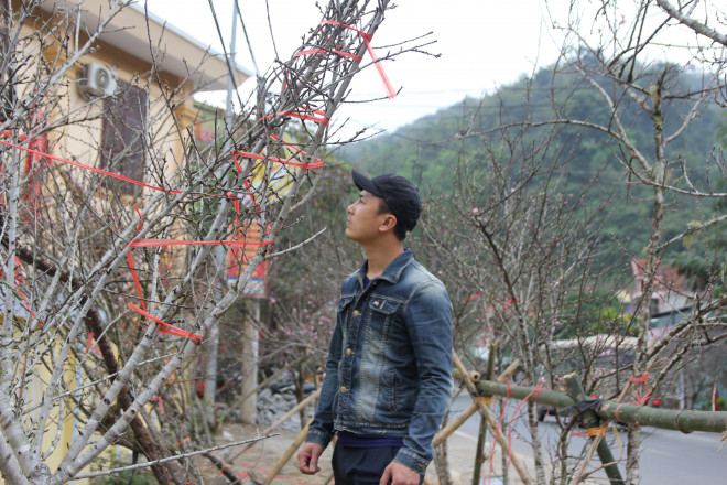 Nhiều cành đào nhỏ cũng đã có giá vài trăm nghìn.
