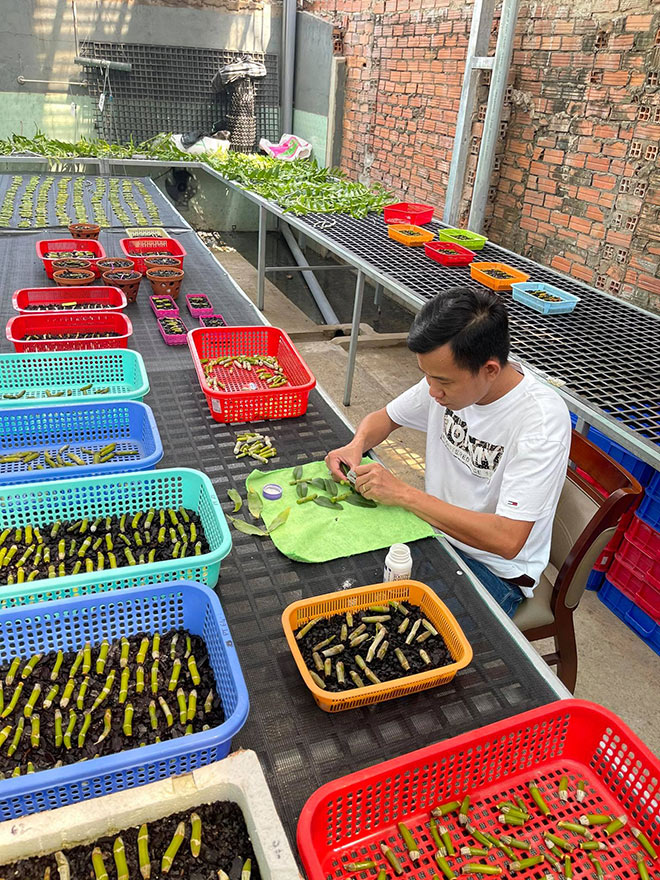 Chặng đường thành công của ông chủ vườn lan Phạm Minh Minh - 5