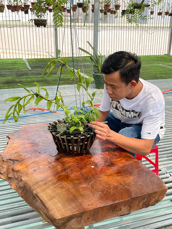 Chặng đường thành công của ông chủ vườn lan Phạm Minh Minh - 4