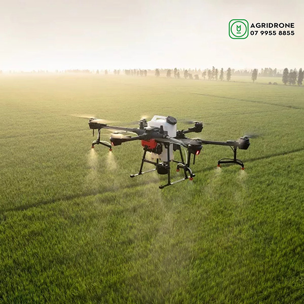 Drone đã làm được gì cho nông dân và nông nghiệp Việt Nam? - 1
