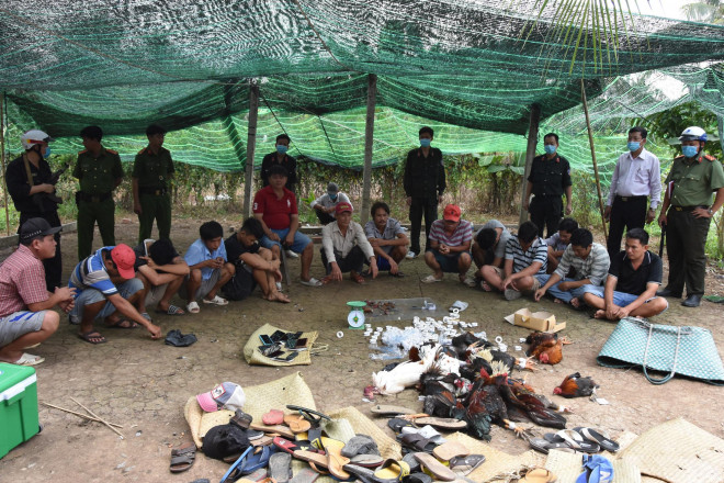 Sân gà ở Chợ Gạo bị đánh úp