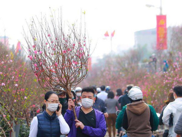 Thị trường - Tiêu dùng - Chợ hoa Quảng Bá nhộn nhịp ngày chủ nhật cuối năm