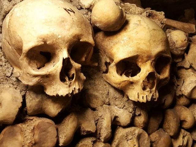 Du lịch - Phát hiện 200 bộ hài cốt có từ thời Trung cổ trong khuôn viên trường đại học