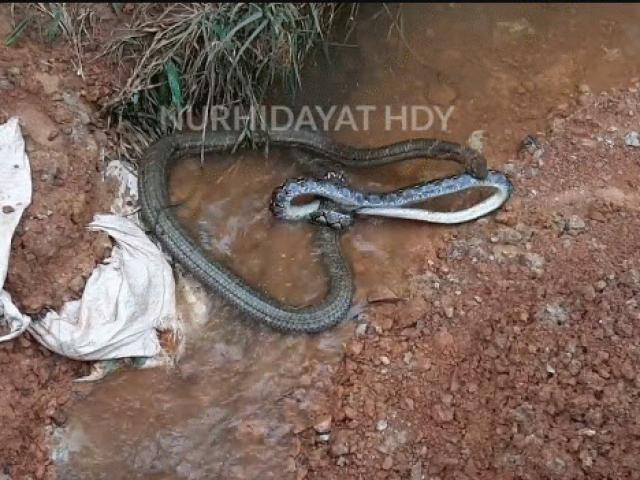 Media - Hai "mãng xà" thủy chiến như trong phim viễn tưởng