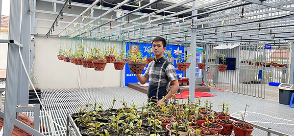 Cách trồng và chăm hoa lan đơn giản, dễ thành công nhất từ nghệ nhân Vương Tất Trường - 1