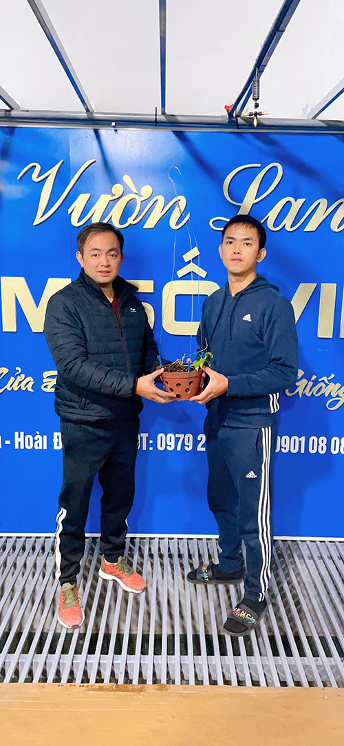 Cách trồng và chăm hoa lan đơn giản, dễ thành công nhất từ nghệ nhân Vương Tất Trường - 5