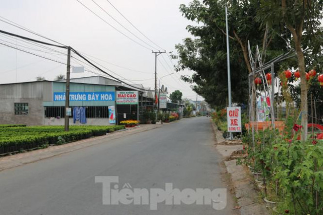 Tuyến đường chính vào làng hoa Sa Đéc - làng hoa lớn nhất miền Tây vắng khách.