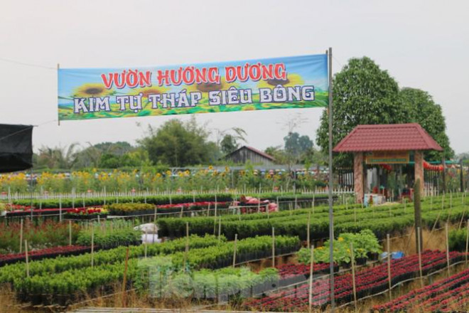 Một số vườn hoa kiểng tại đây vắng bóng du khách.