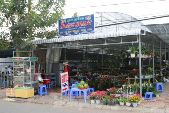 Chủ hoa kiểng Hoàng Khang thông tin:"Đa số các mặt hàng hoa kiểng năm nay giá không cao, thậm chí có một số mặt hàng giảm. Tuy nhiên, do dịch bệnh COVID - 19 bùng phát cuối năm nên sức mua giảm khoảng 70%".
