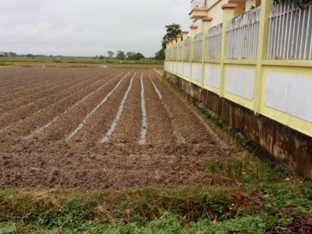 An ninh - Xã hội - Cựu Chủ tịch UBND xã bị bắt vì lừa đảo