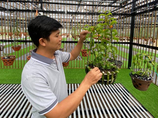 Kinh doanh - Hành trình biến khu vườn 40m2 trên nóc nhà thành cơ ngơi 4000 m2 trị giá hàng chục tỷ đồng