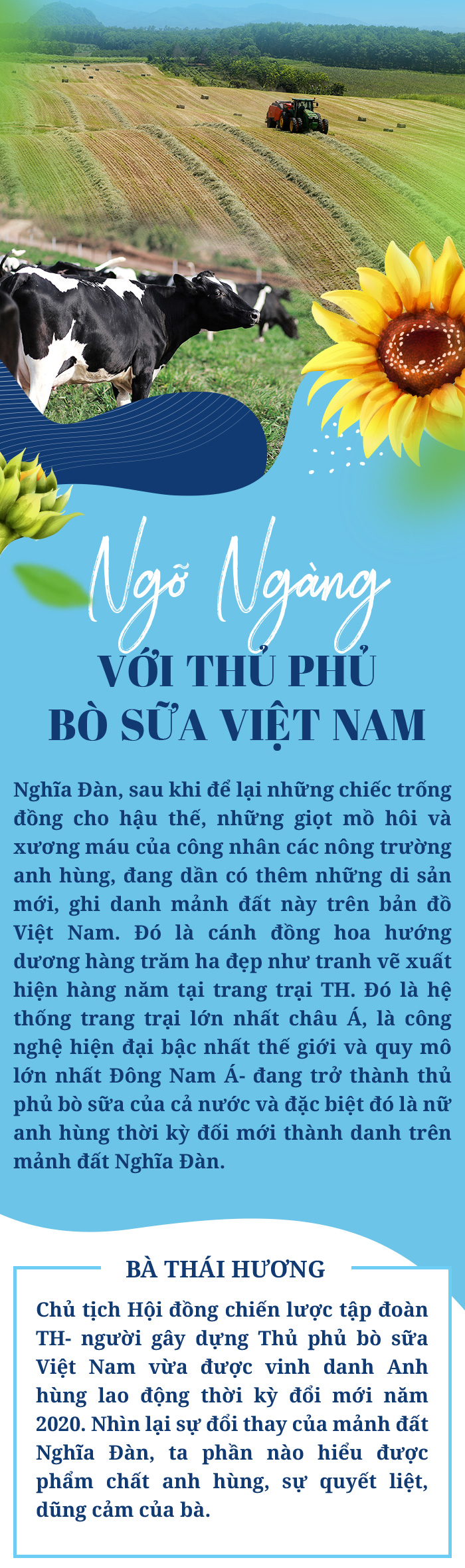 Ngỡ ngàng với thủ phủ bò sữa Việt Nam - 2