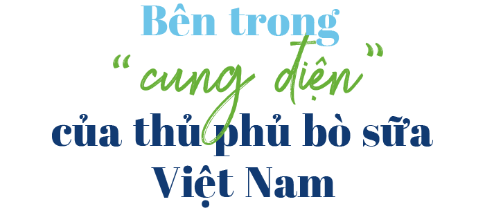 Ngỡ ngàng với thủ phủ bò sữa Việt Nam - 12