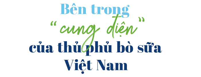 Ngỡ ngàng với thủ phủ bò sữa Việt Nam - 11