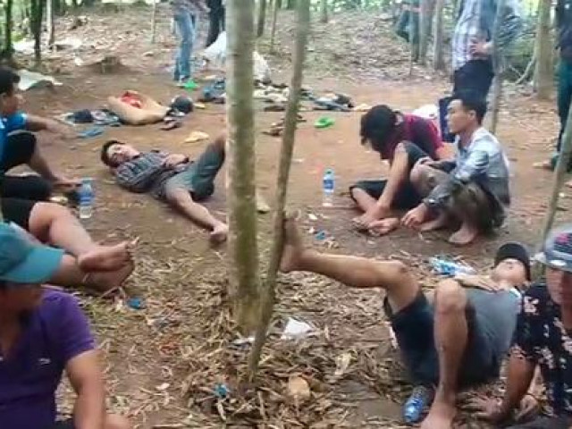 Pháp luật - CLIP: Bị bắt tại trận, nhiều con bạc nằm la liệt trong vườn bạch đàn vì… mệt