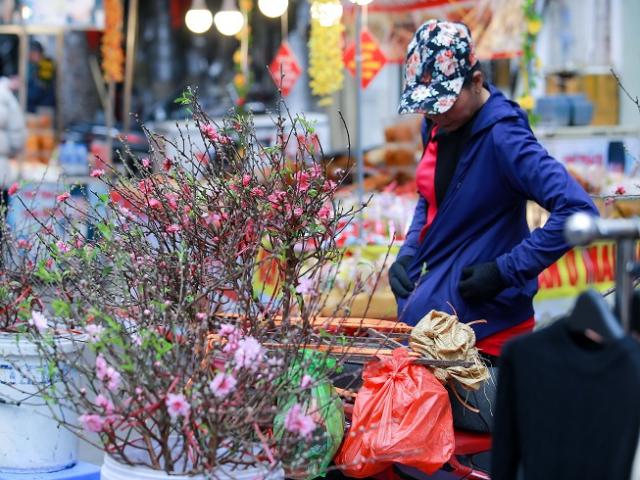 Thị trường - Tiêu dùng - Cảnh tượng chưa từng thấy ở chợ hoa Tết hàng Lược: Có đào, có quất, chỉ không có… khách