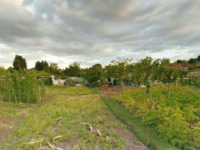 Pháp luật - Tìm thấy thi thể cô gái ngoài đồng lộ chuyện bi thảm sau lần "ân ái"