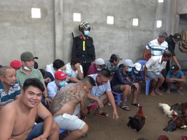 Pháp luật - CLIP: Công an ập vào 2 trường gà, "hốt" 91 đối tượng