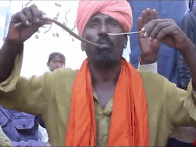 Media - Kinh dị cảnh người đàn ông luồn rắn độc từ mũi xuống miệng