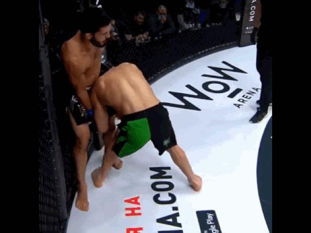 Media - Dính đòn trỏ cực độc, võ sĩ ôm đầu đổ gục trên sàn đấu