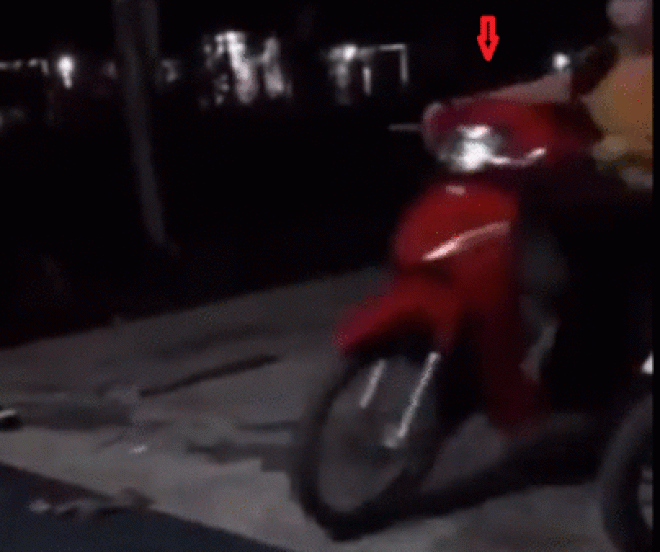 Video: Dắt xe vào nhà, cô gái tăng ga quá đà đâm vào tường, suýt trúng tivi - 1